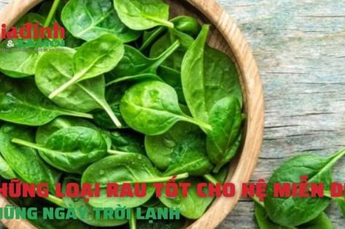 Những loại rau tốt cho hệ miễn dịch những ngày trời lạnh