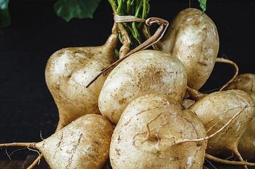 Cách sử dụng củ đậu giải độc rượu, làm mờ tàn nhang