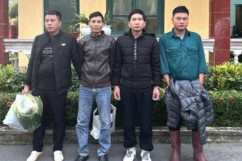 Cưỡng đoạt 100 triệu đồng của người nuôi hàu, 4 đối tượng bị bắt giữ