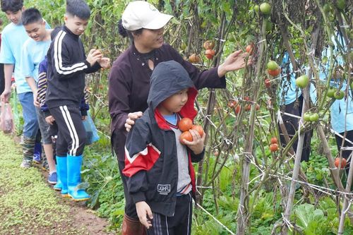 Học sinh thích thú trải nghiệm du lịch nông nghiệp ven đô