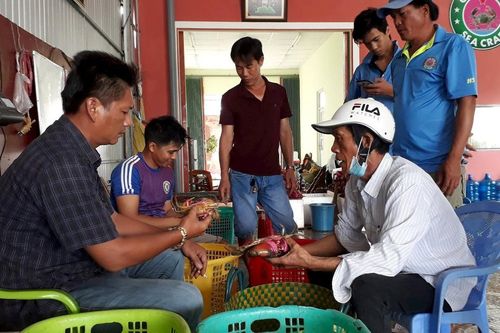 Niềm vui được mùa thủy sản