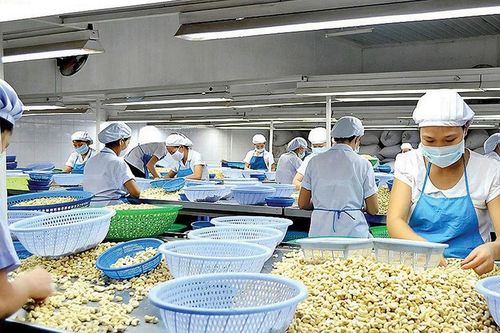 Gia tăng 'bẫy' lừa đảo xuất khẩu