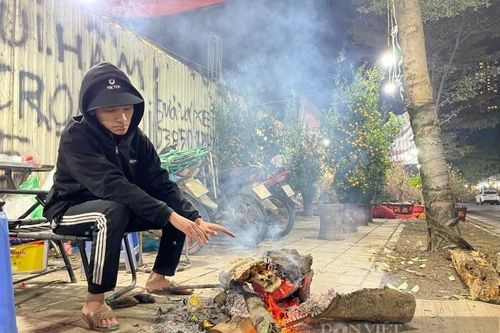 Lạnh 8 độ C thấu da thịt, tiểu thương trắng đêm canh đào, quất