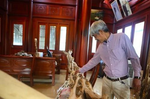 Chiêm ngưỡng gốc trầm hương 200 tuổi dáng độc lạ, cao hơn 8m