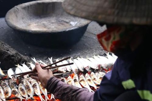 Người dân xứ Nghệ mướt mồ hôi nướng cá cho vụ lớn nhất năm