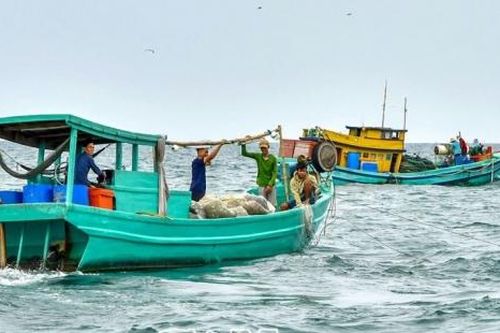 Cà Mau: Tranh chấp ngư trường và bài học quản lý khai thác trên biển