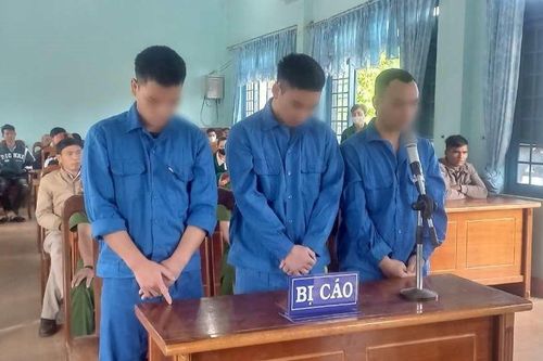 Tàng trữ trái phép chất ma túy, nhiều thanh niên lĩnh án