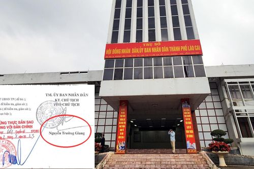 Lý do Lào Cai chứng thực vào tài liệu giả của công ty cung ứng bò ở Điện Biên