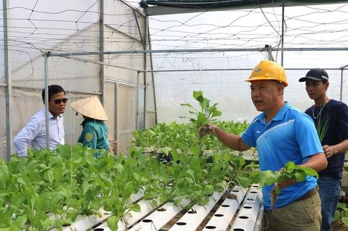Khuyến khích nông dân sáng tạo để đưa nghị quyết các cấp vào cuộc sống