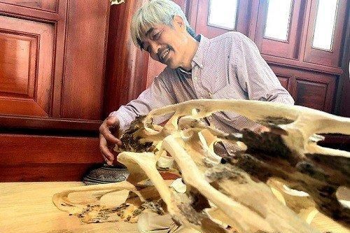 Những gốc trầm vô giá tại Hà Tĩnh