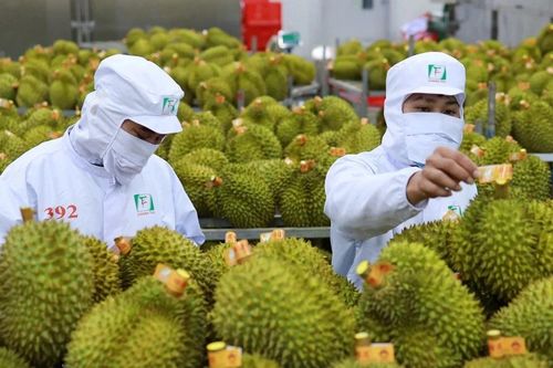5 mặt hàng nông sản, thực phẩm Việt bị EU đưa vào diện kiểm soát