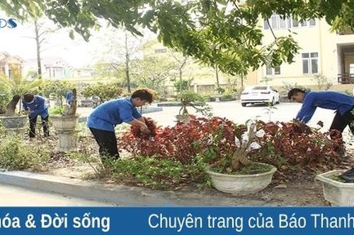 Để thành phố luôn sạch đẹp