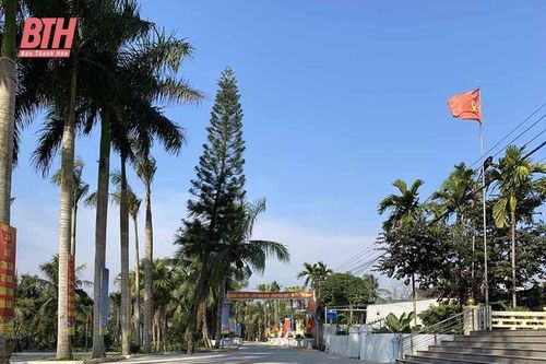 Nông Cống đầu tư xây dựng kết cấu hạ tầng phát triển kinh tế - xã hội