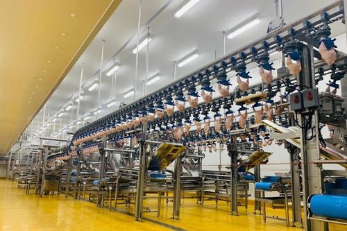 Thịt gà chế biến từ 'tổ hợp trăm triệu đô' chinh phục những thị trường khó tính