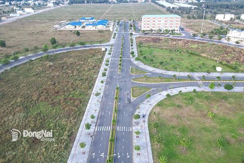 Sẽ chuyển mục đích sử dụng hàng ngàn ha đất nông nghiệp