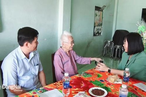 Phó chủ tịch UBND tỉnh Nguyễn Thị Hoàng thăm, tặng quà Tết cho Mẹ Việt Nam anh hùng