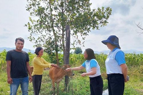 Quỹ Hỗ trợ phụ nữ phát triển tỉnh Gia Lai triển khai nhiệm vụ năm 2024