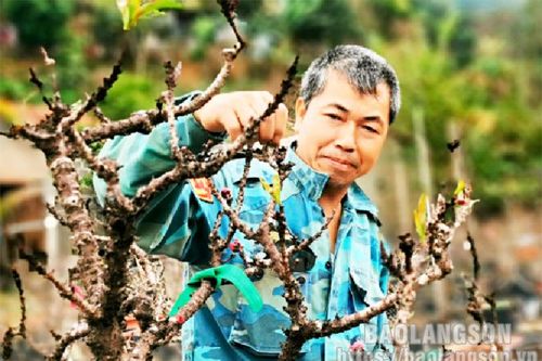 Hội Nông dân phường Chi Lăng: Điển hình trong phong trào nông dân ở cơ sở