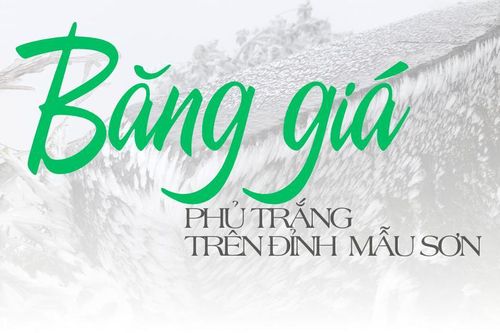 Băng giá phủ trắng trên đỉnh Mẫu SơnTin khác