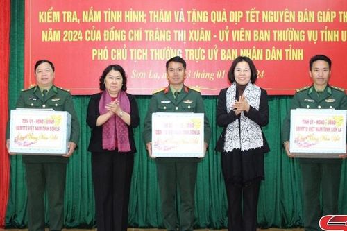 Đồng chí Phó Chủ tịch Thường trực UBND tỉnh làm việc tại huyện Sông Mã