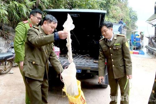 Tăng cường công tác bảo tồn đa dạng sinh học và bảo vệ các loài hoang dã