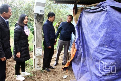 Kiểm tra việc phòng, chống rét cho gia súc tại Võ Nhai