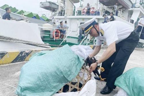 Bài 1: Hành trình mang nghĩa tình ra đảo