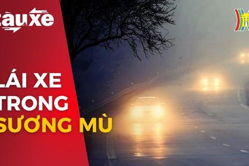 Kỹ năng lái xe trong sương mù| Bản tin Tàu và xe | 23/01/2024