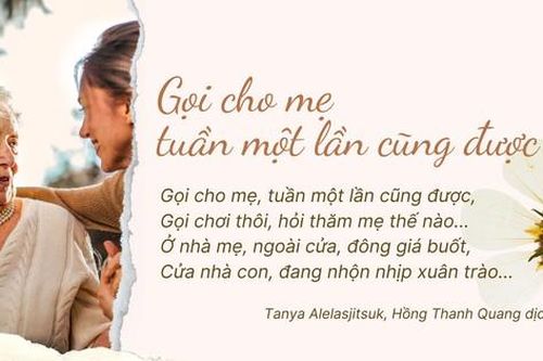 PGS.TS Đỗ Ngọc Thống bình luận đề Ngữ văn có ngữ liệu thơ 'Gọi cho mẹ tuần một lần cũng được'
