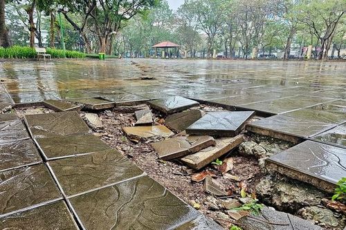 Hai công viên ở Hà Nội chuẩn bị được nâng cấp