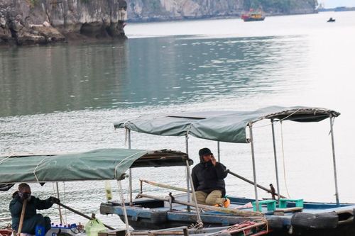 Ngư dân ven bờ vịnh Hạ Long chật vật mưu sinh trong giá lạnh