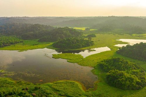 Bảo vệ rừng gắn với phát triển bền vững