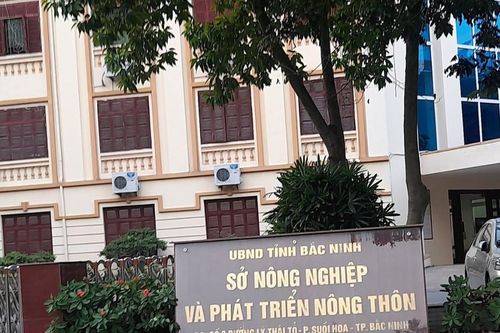 Sở Nông nghiệp và PTNT tỉnh Bắc Ninh có người phụ trách, điều hành mới