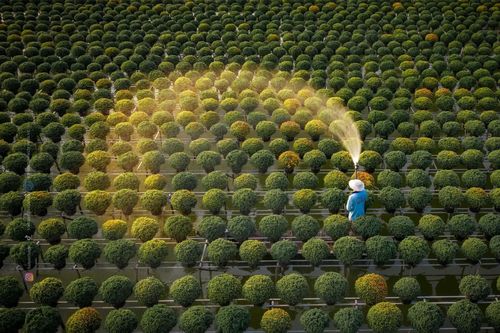 Nét mới ở 'nơi đón Tết sớm nhất' miền Tây