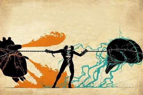 Lựa chọn là hành trình đầy lý trí