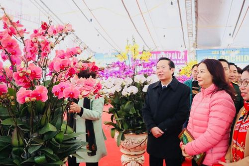 Quận Nam Từ Liêm, khai mạc chợ hoa Xuân Tết Giáp Thìn 2024