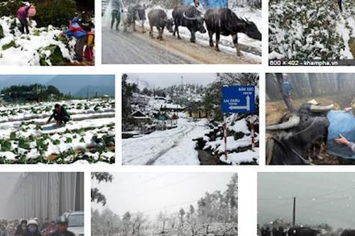 Công điện của Thủ tướng Chính phủ về chủ động phòng, chống rét đậm, rét hại kéo dài