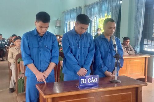 Cùng chơi cùng chịu