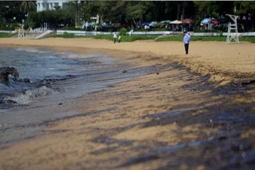 Chế phẩm xử lý ô nhiễm dầu bằng vi khuẩn từ trấu