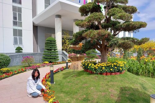 Sóc Trăng mở cửa trụ sở UBND tỉnh cho người dân tham quan dịp Tết Nguyên đán