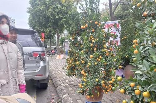 Cho thuê vỉa hè tự phát tại Hà Nội: Tiền vào túi ai?