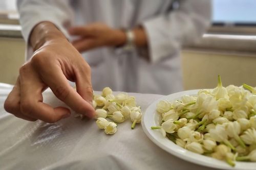 Những người thầy im lặng của bác sĩ