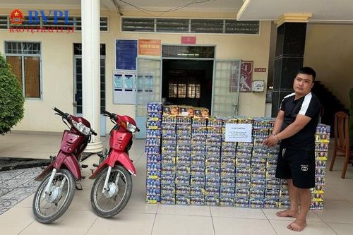 Vận chuyển gần 400 kg pháo nổ lậu đến nghĩa địa cất giấu