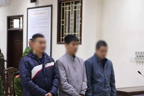Thái Bình: Phạt tù lãnh đạo Công ty đăng kiểm và đăng kiểm viên nhận hối lộ