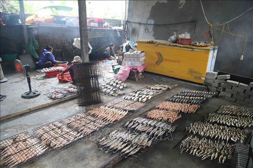 Làng nghề biển rộn ràng vào vụ Tết