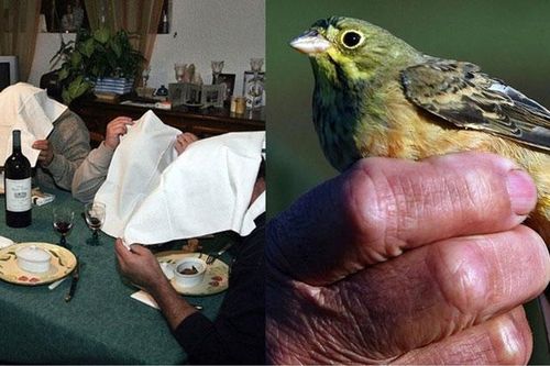Vén màn món ăn tàn nhẫn nhất thế giới: Chỉ giới quý tộc được thử, phải trùm khăn kín đầu khi ăn
