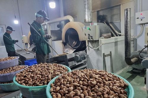 Xuất khẩu điều đối diện thách thức mới, ứng phó ra sao?