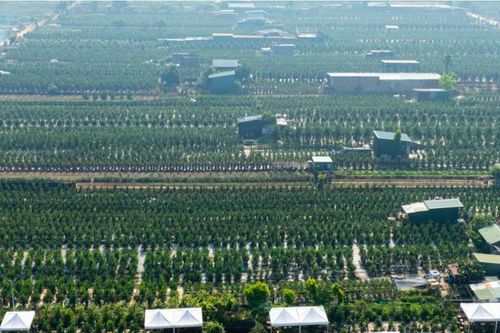 Cận Tết Nguyên đán, Hà Nội vẫn tất bật đấu giá đất