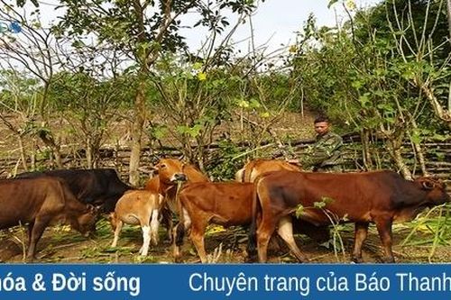 Sinh kế để bà con vùng biên giới Mường Lát thoát nghèo