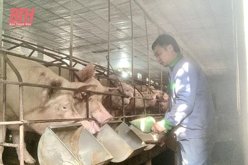 Khởi nghiệp thành công từ mô hình trang trại tổng hợp